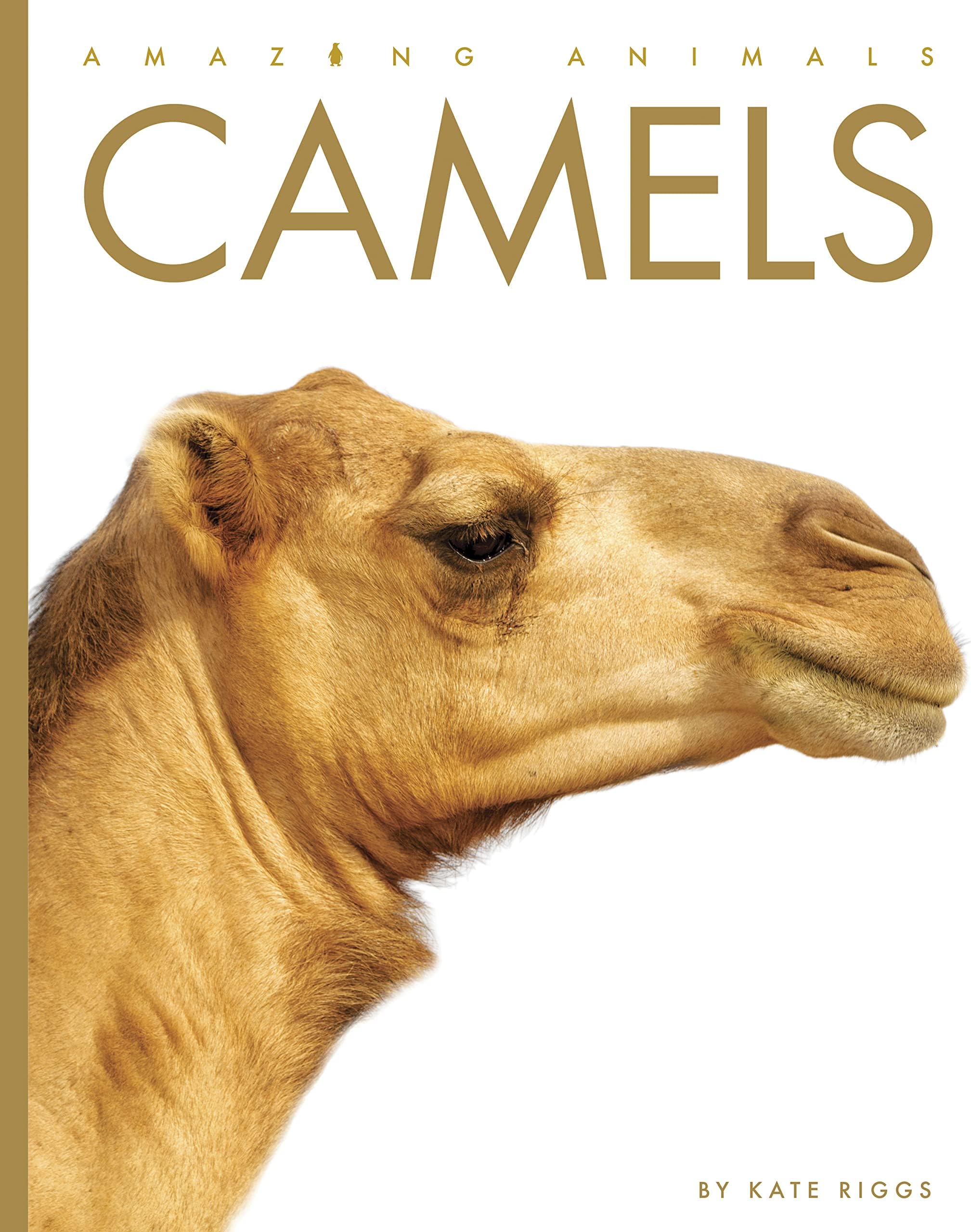 Camels (Amazing Animals)