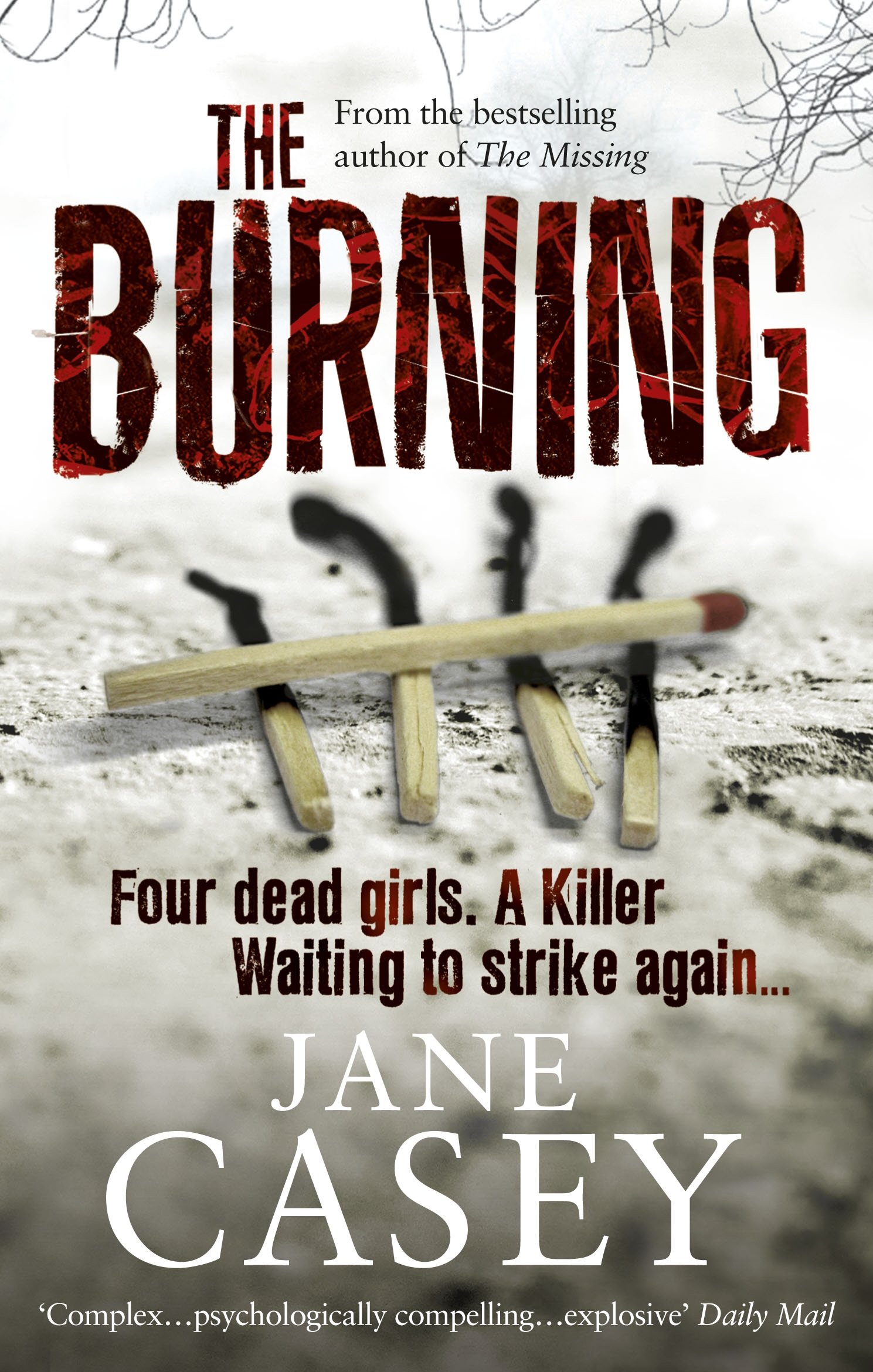 The Burning: (Maeve Kerrigan 1)