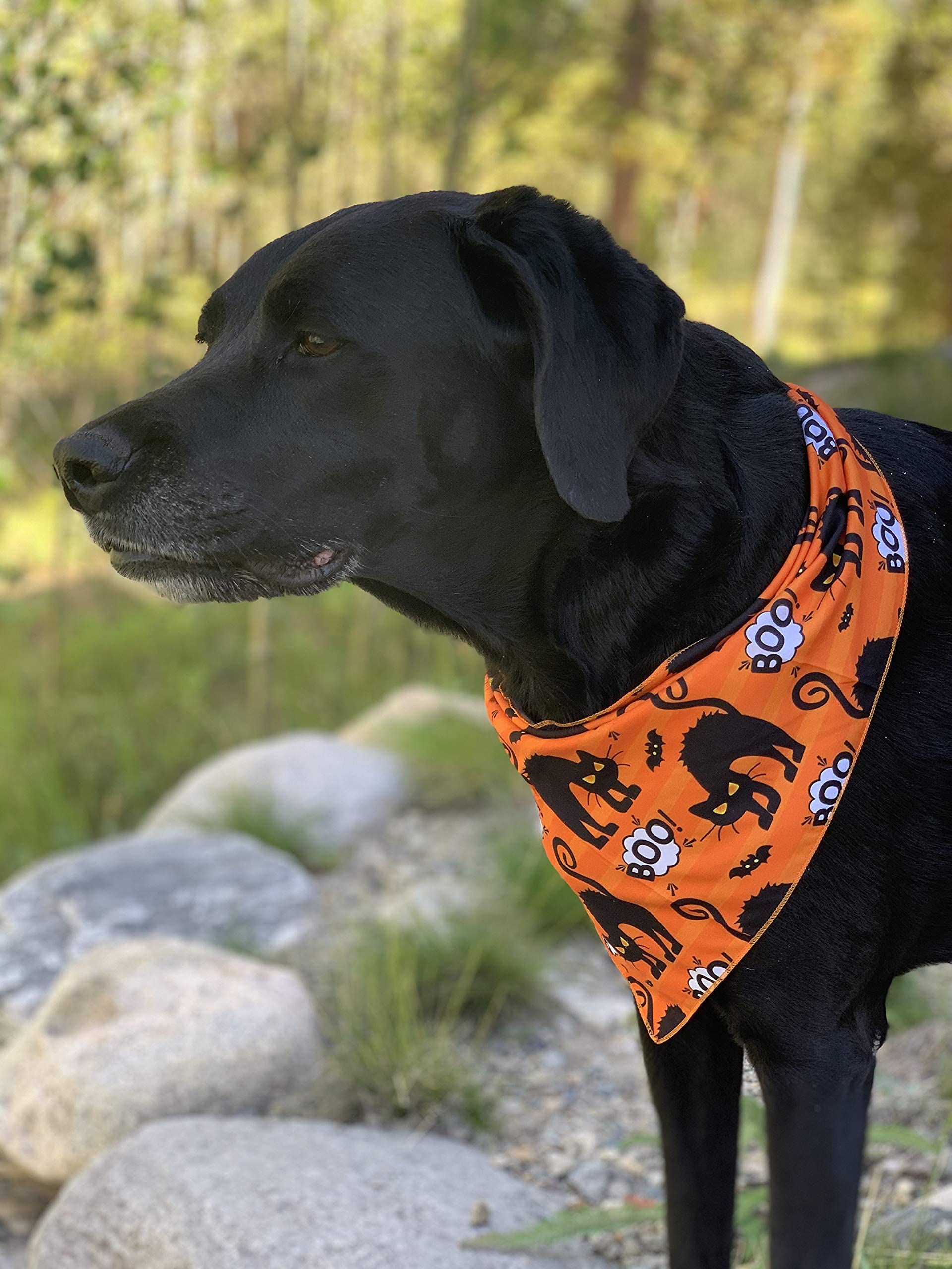 Native Pup Pañuelo de Halloween para Perro, Paquete de 3 Bufandas, murciélagos, Caramelo, maíz y Calabaza, pañuelo de Bandana (Paquete de 2, pequeño)