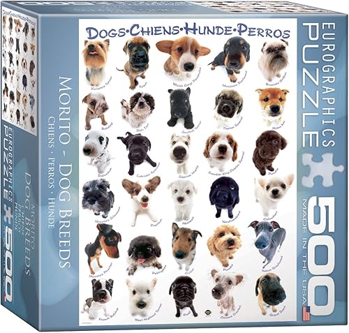 Vista 26 de EuroGraphics (EURHR) Tabla periódica ilustrada de los elementos rompecabezas de 300 piezas rompecabezas de 300 piezas