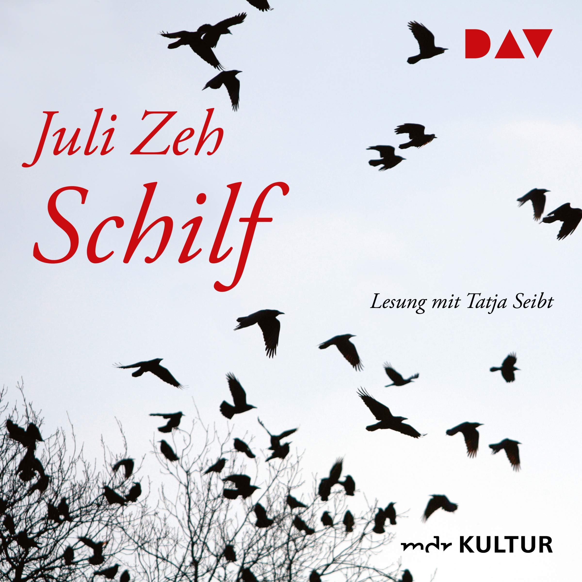 Cover art for Schilf
