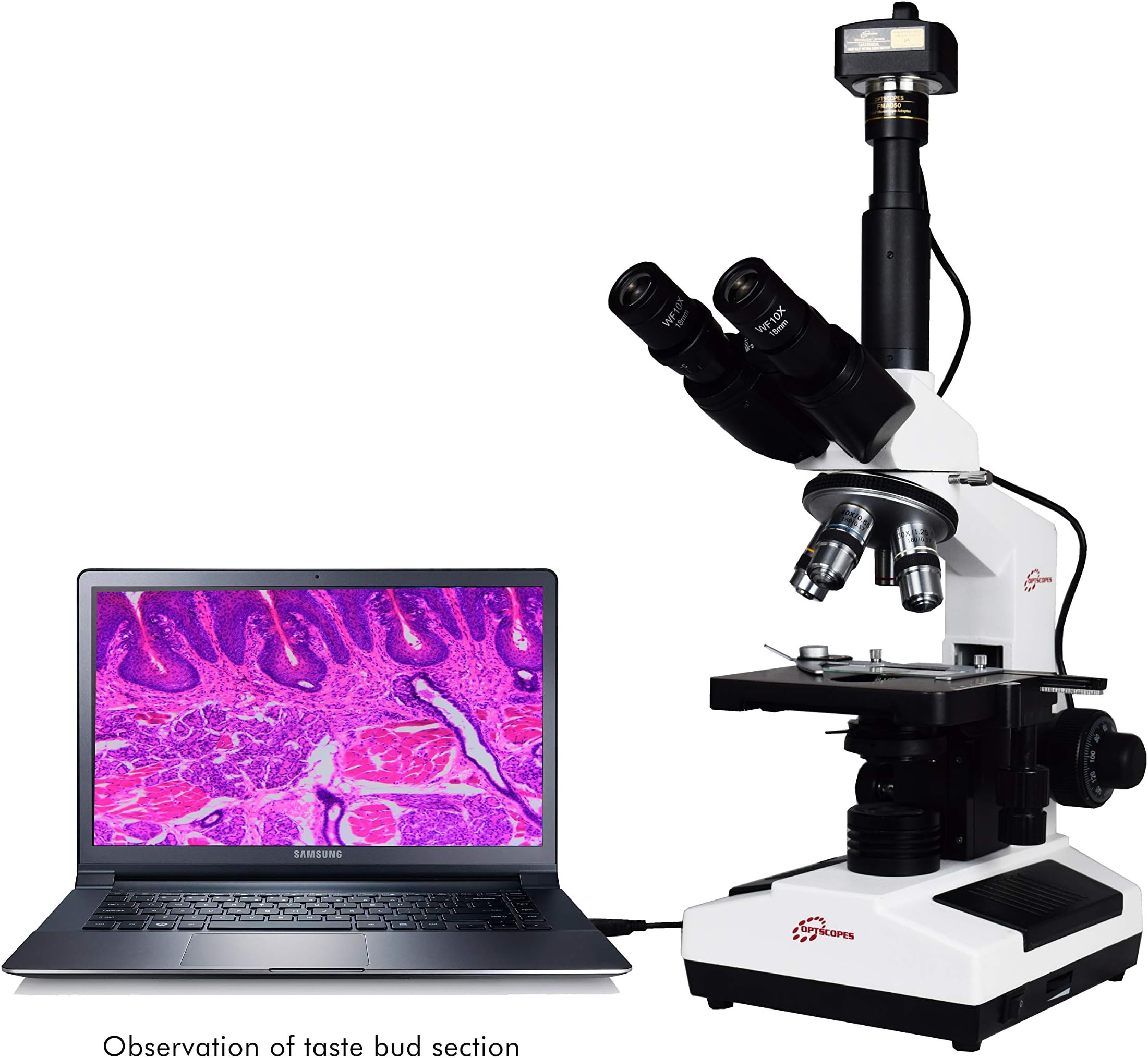 ESAW Optscopes Classic 40x-2000x Digital Microscope with 3.1MP IS-300 CMOS Camera for Education, Pathology, Research and Teaching