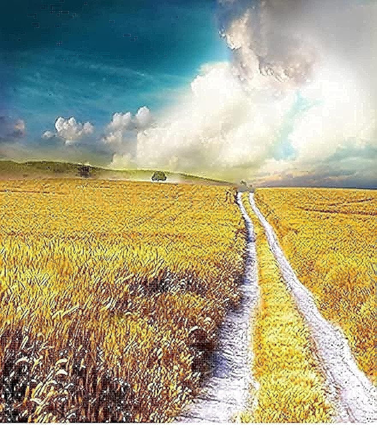 eWINNER 1.5m*2.1m Photo Background Texture Product Display Special Photo Background Photos drops Photography Backdrops Photo Studio Art Vinyl Paper for Photo Shoot (1013)