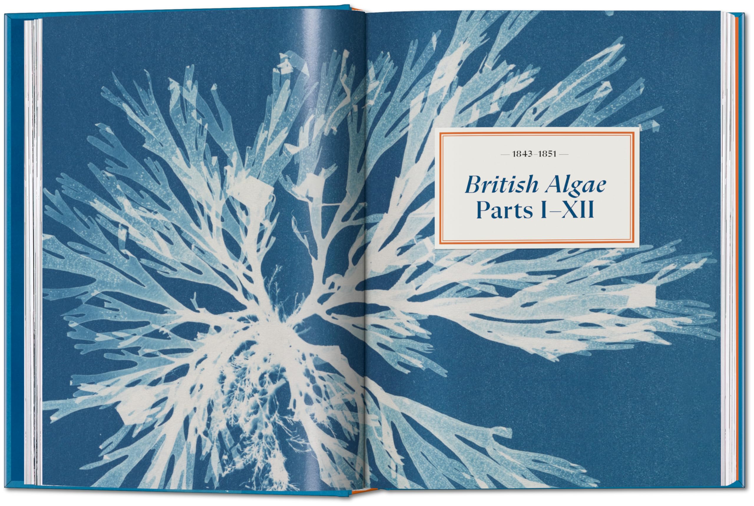 Anna Atkins: Cyanotypes. 45th Ed.