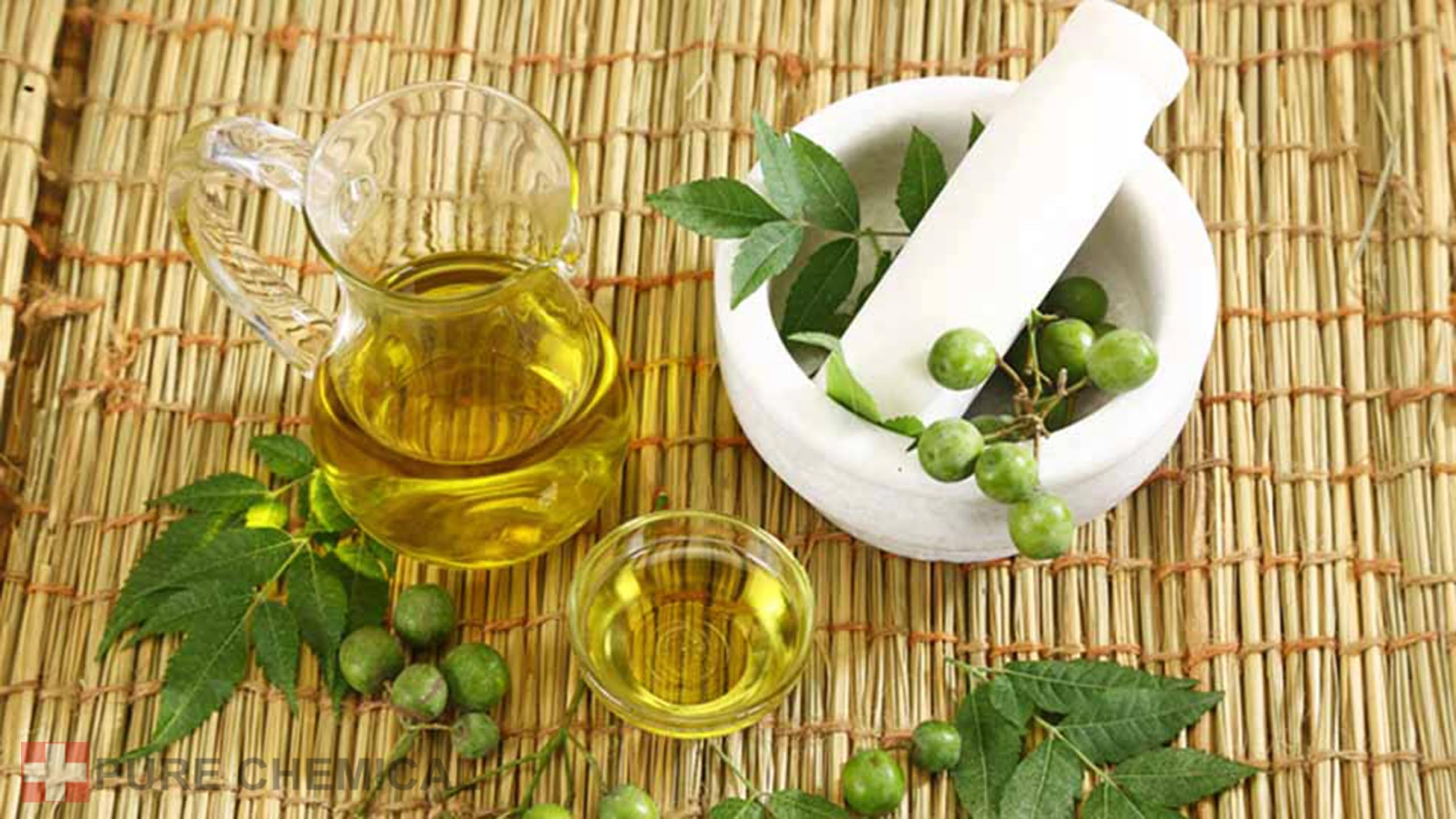 CHOSA Olio di Neem Puro 5 litri - Spremuto a Freddo, Non Raffinato, 100% di Purezza - Per la Cura di Ogni Tipo di Pelle e Capelli - Olio di Nem per Piante, Tanica HDPE 5 L con tappo di sfiato