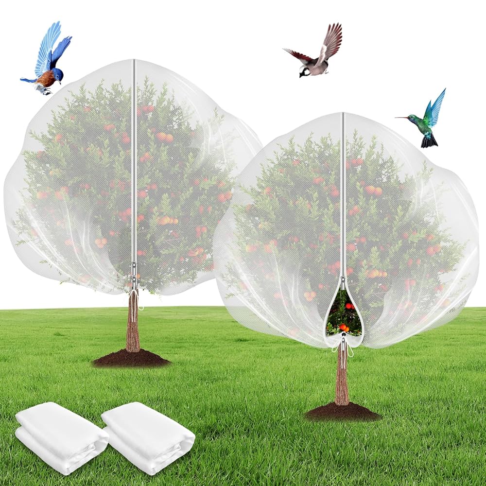 How to Keep Birds Out of Tree: Effective Tips That Work Fast