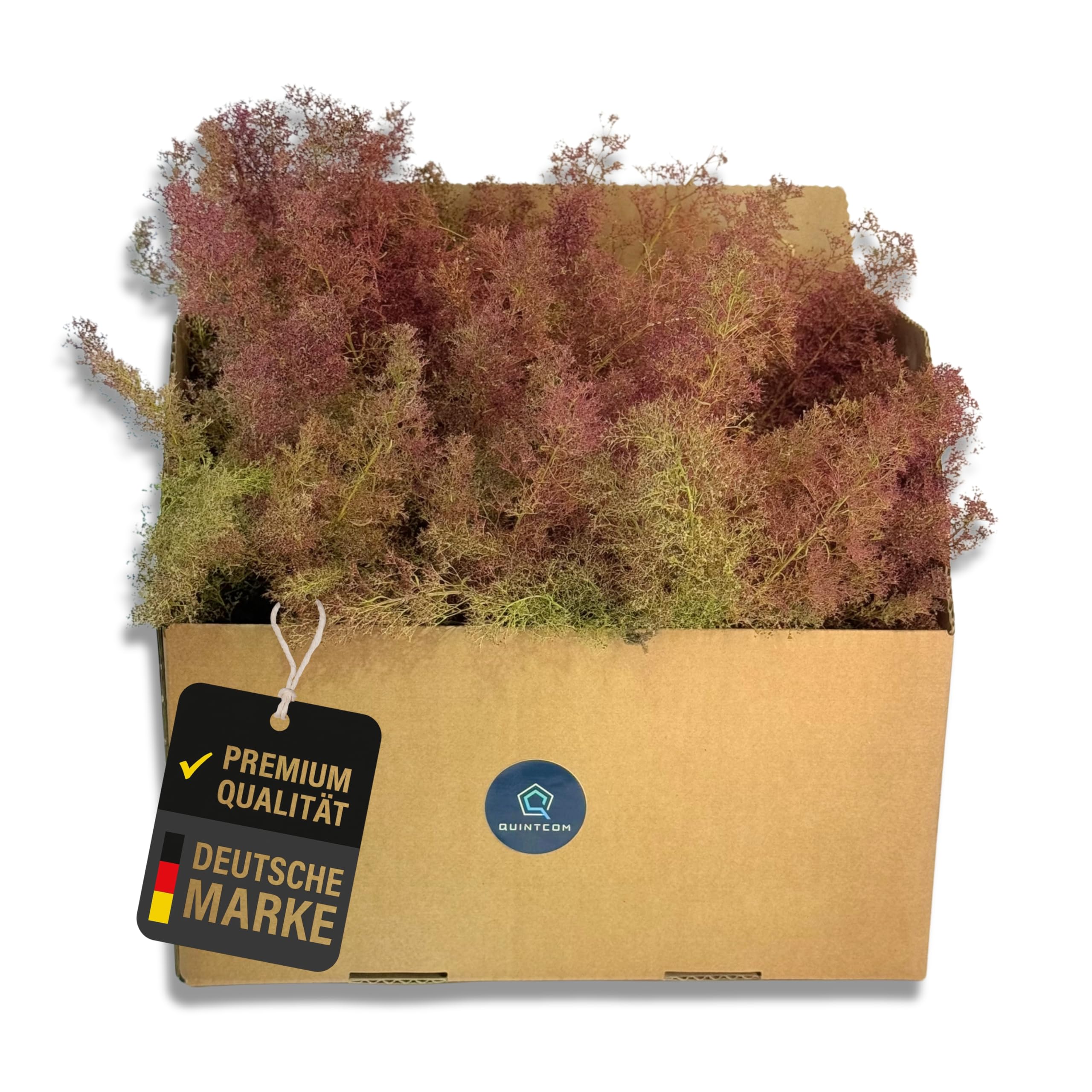 Sea Moss per modellismo, materiale di piantagione per alberi e cespugli nei boschi di modellismo, cartone 30 cm x 20 cm x 14 cm