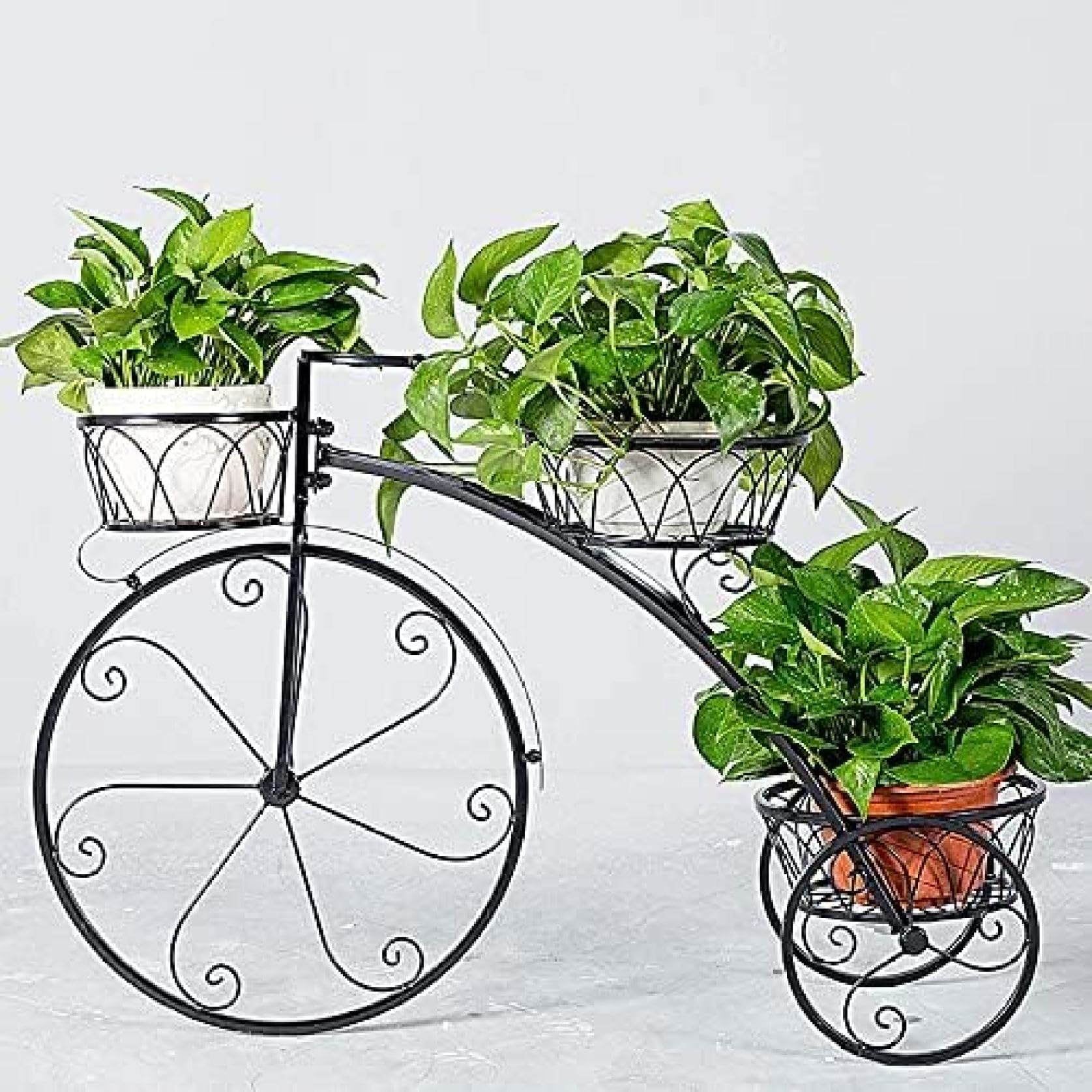Amazon | 三輪車の植物スタンド 鉄の自転車のプランターのフラワー