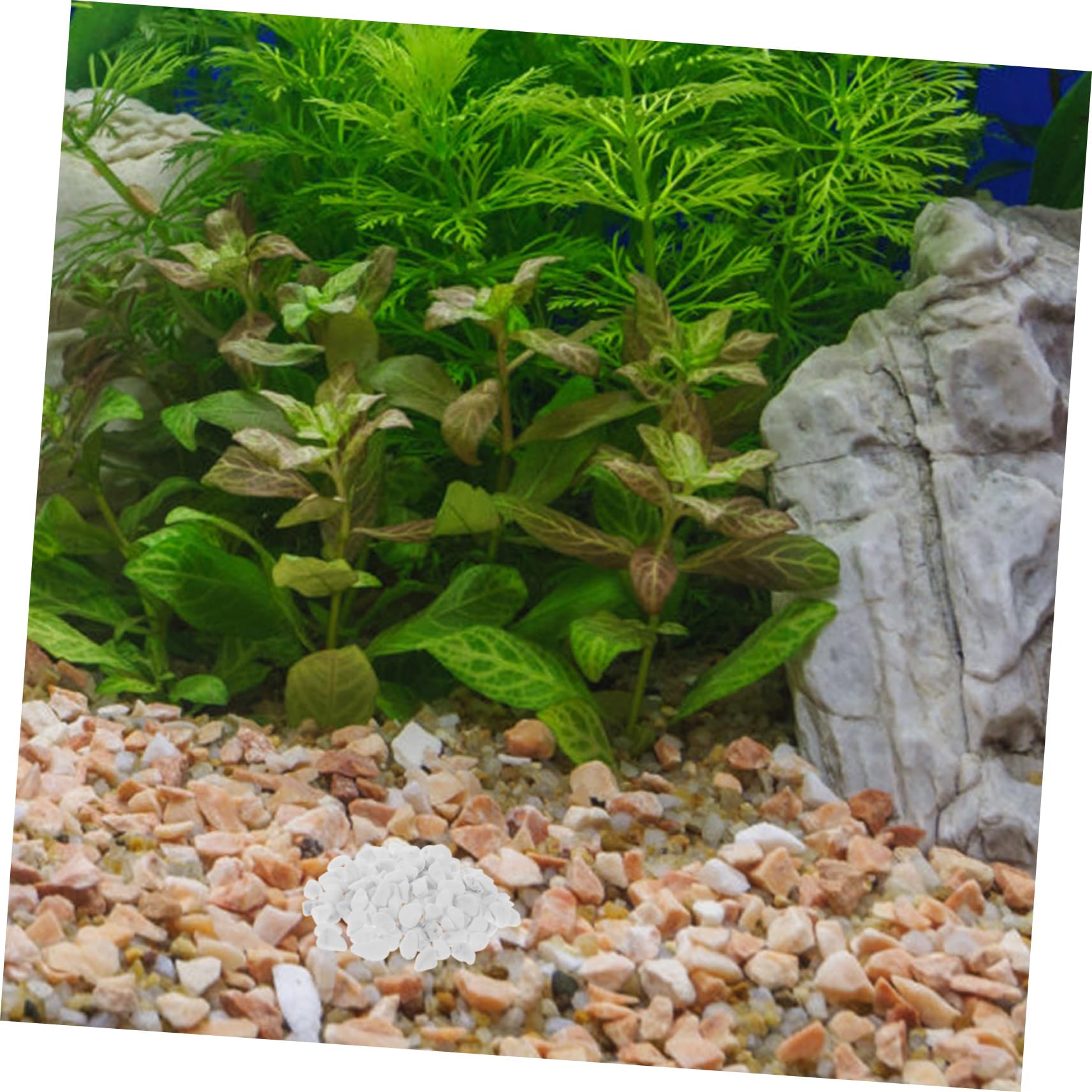 Toyvian Ciottoli Decorativi Chiari in Roccia per Contenitore e Acquario, Set Grande Quantità per Paesaggistica Esterna e Arredamento Giardino Funzione Riflettente e Manutenzione Ridotta