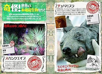 Amazon.co.jp: 未確認生物 超謎図鑑 : 山口 敏太郎: 本