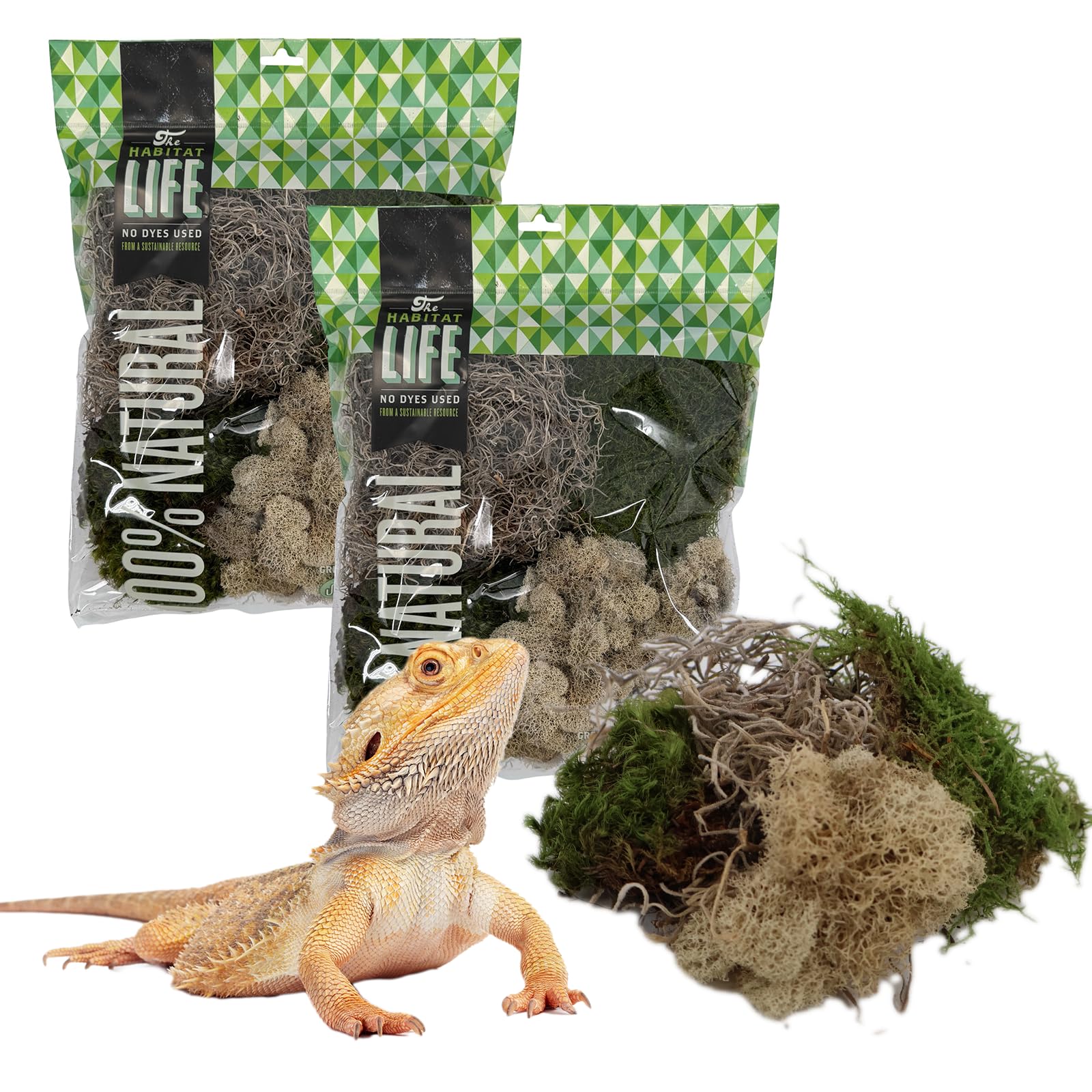 Mousse de renne pour terrarium : finie la moisissure racinaire