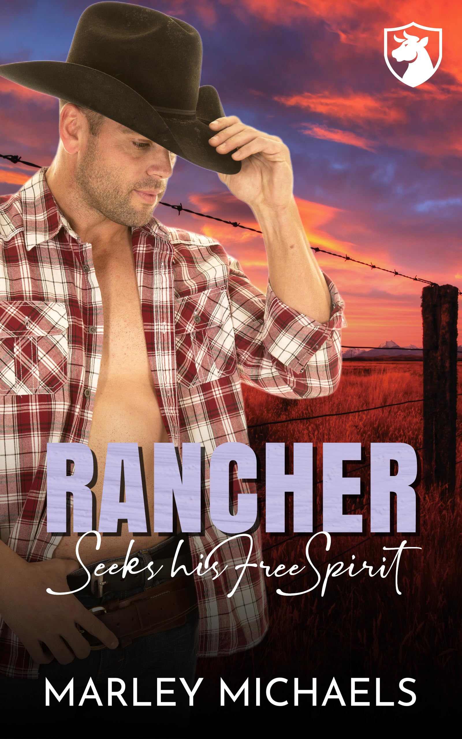 Rancher Seeks his Free Spirit (Bull Mountain Ranch Book 3)
