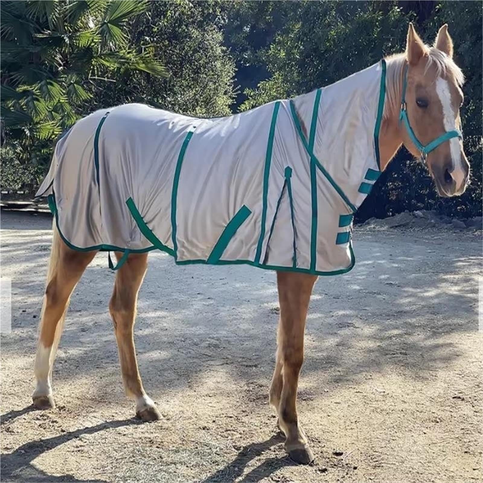 Coperta for Cavalli Equestre Leggera E Flessibile | Fornitura pratica for allenamenti di corsa e attività all'aperto