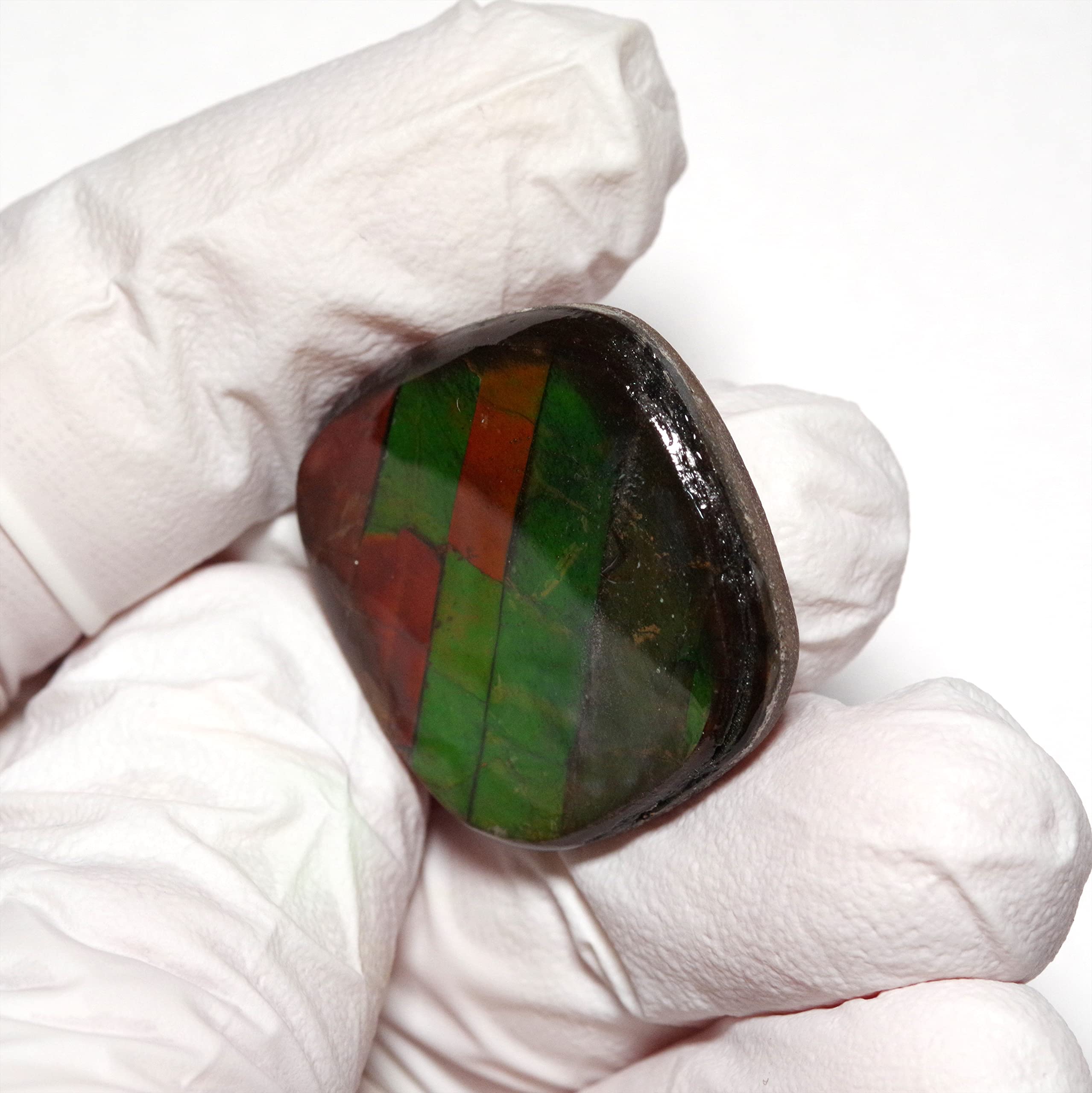 アンモライト　原石　11 Amazon | [N2 stone Natural] 天然化石 アンモライト (Ammolite