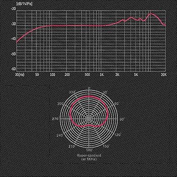 Amazon.com: TAKSTAR XLR Condenser Microphone with 34mm Gold-Plated Amazon.com: TAKSTAR XLR Condenser Microphone with 34mm Gold-Plated