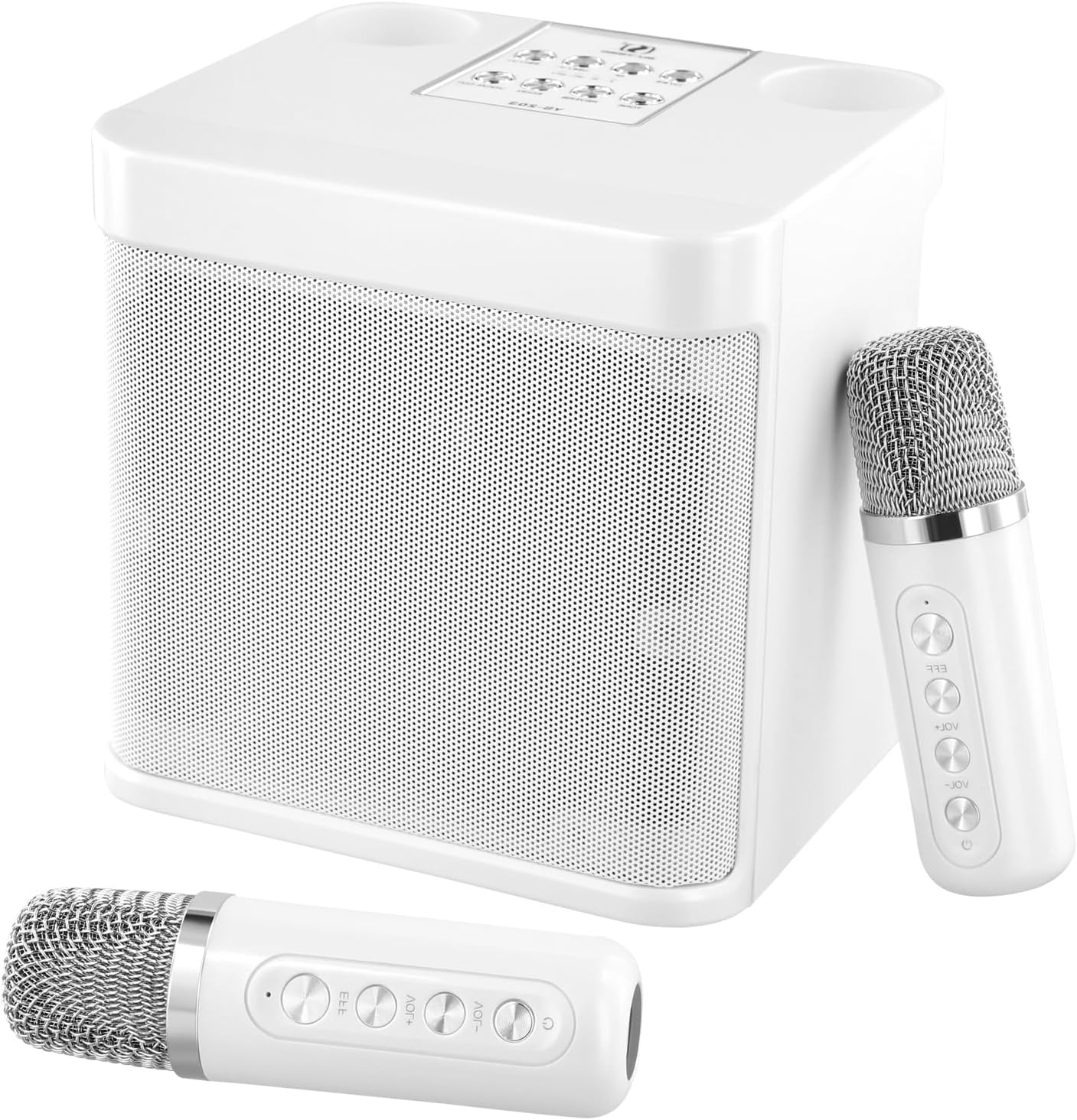 Karaoke Machine, Portable Karaoke Systems with 2 Wireless Microphones
