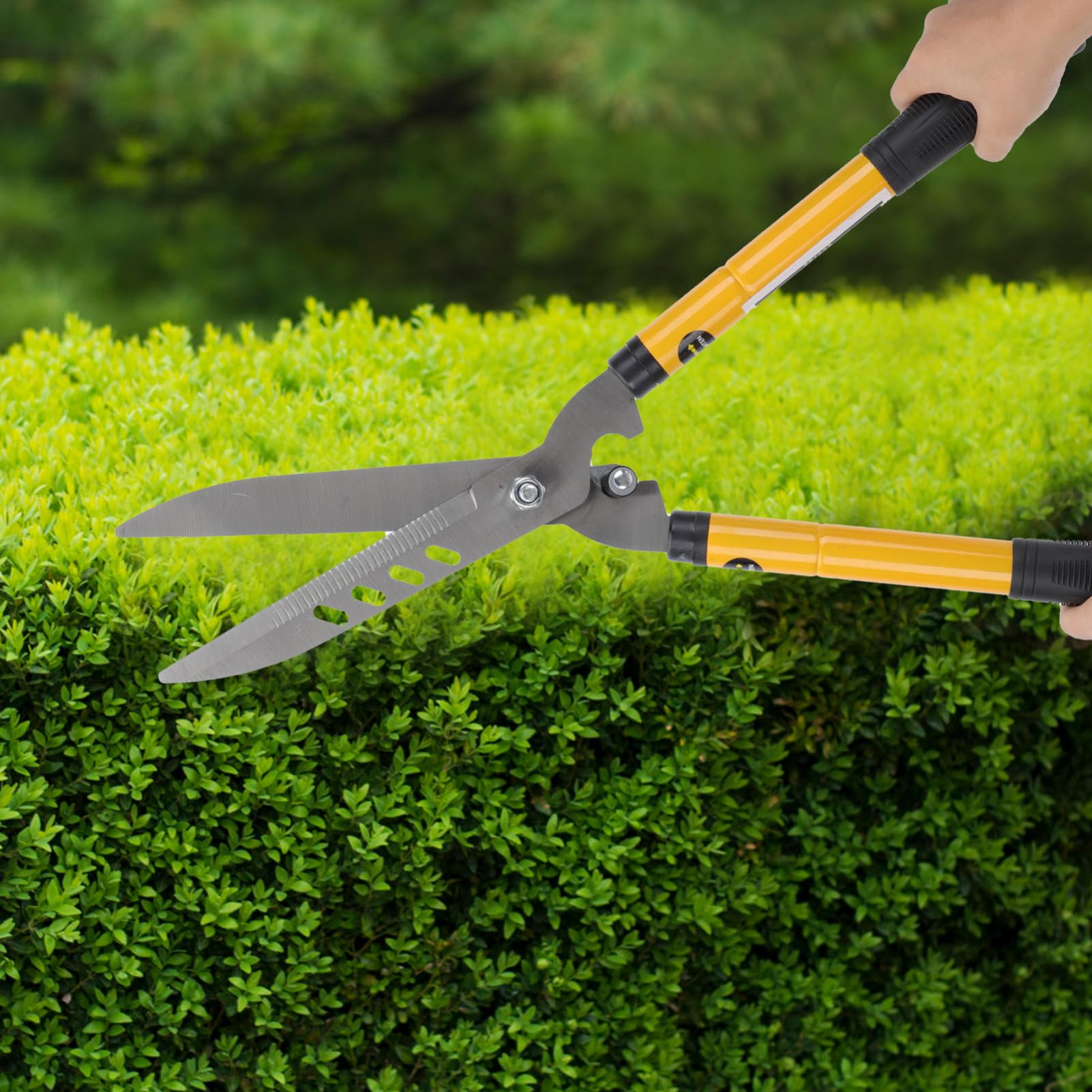 Milisten 1 Stück Praktische Garten Schneiderschere für Pflanzenpflege Multifunktionale Gartenschneider für Blumen Gemüse und Bonsai Leicht und Tragbar zum Schneiden von und Stängeln