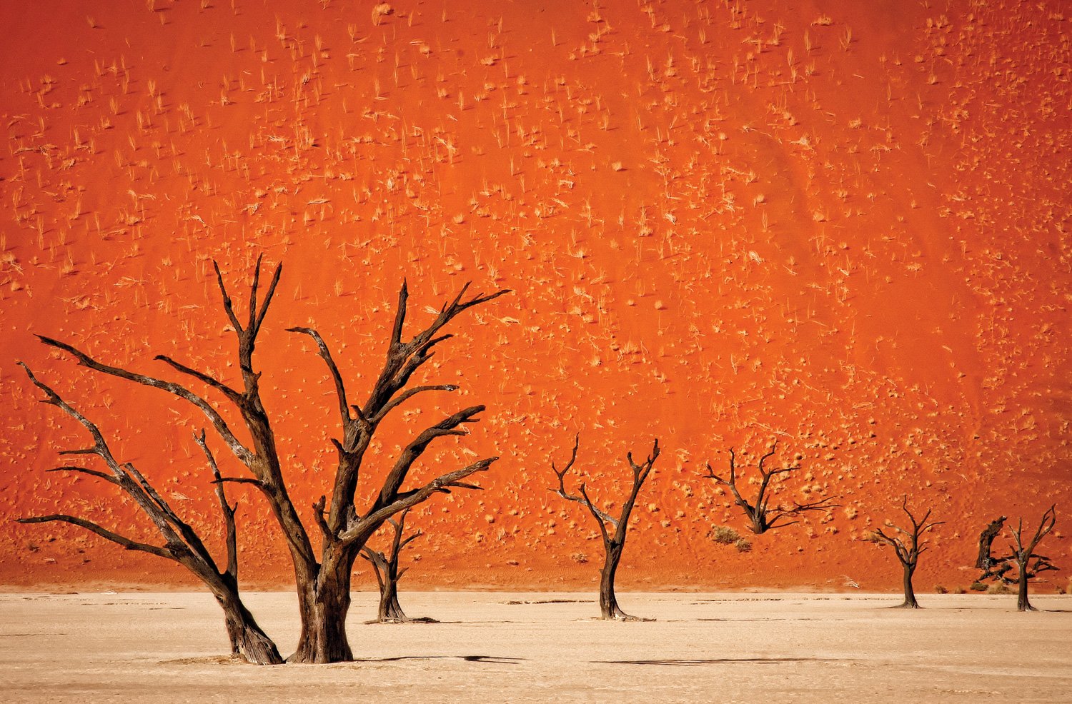 JP London JPL and Mathilde Guillemot Present The Older Surreal Dali Desert Africa 36in x 24in Poster Mural SPMUR1X40789 Fully Removable Peel and Stick Wall Art