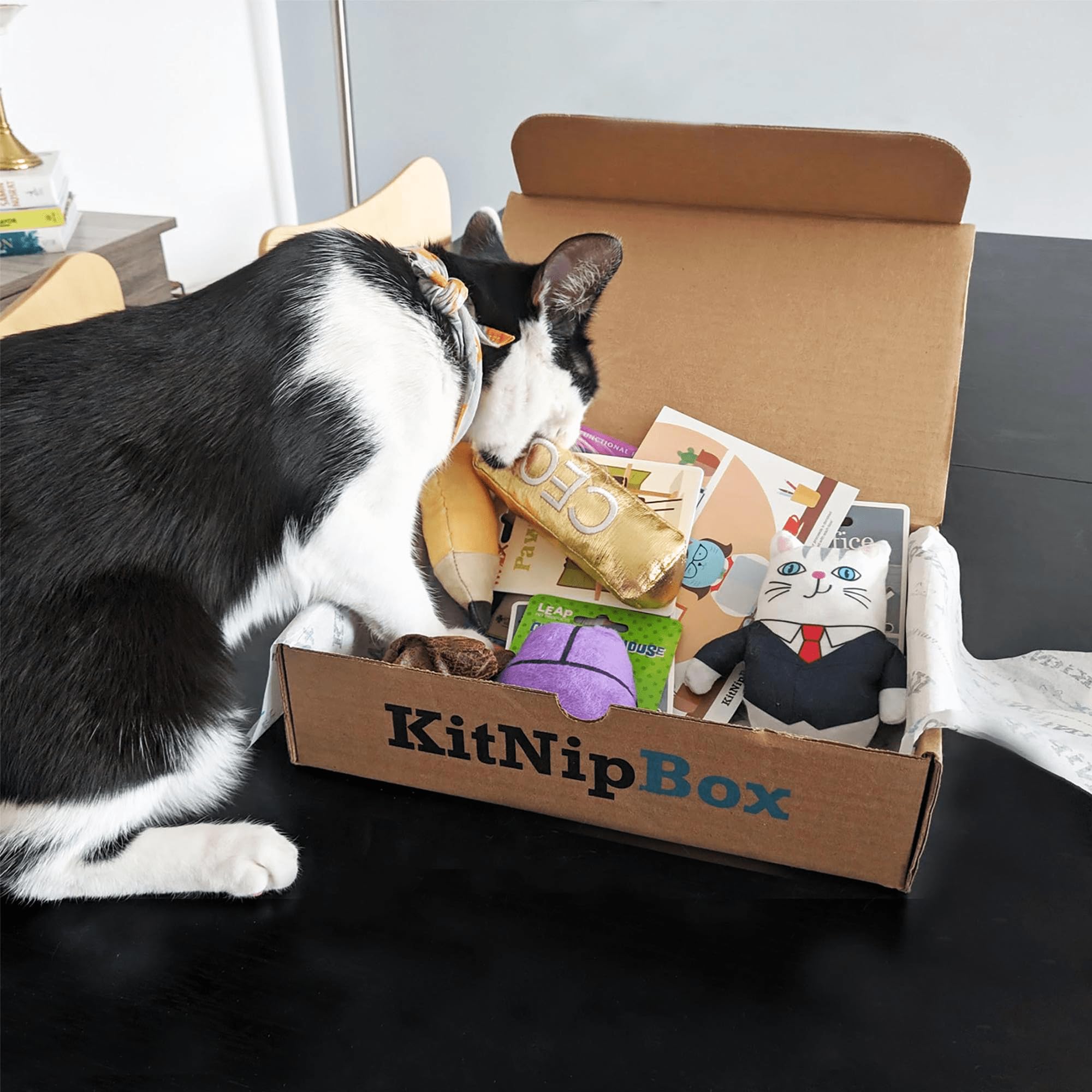 dried fish cat treats kit nip box Amazon.com: KitNipBox | Happy Dietary Mainline ingredient routine Best scent for bass Color:1/32oz Black Yellow