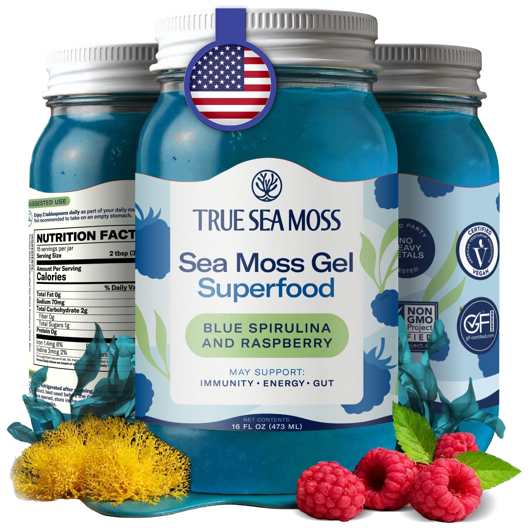 TrueSeaMoss Sea Moss Gel  Made in USA  Wildcrafted Seamoss, Fruits & Jarred Vegetables  Blue Spirulina, Pack of 1 (Labels may Vary) Blue Spirulina 16 Fl Oz (Pack of 1)