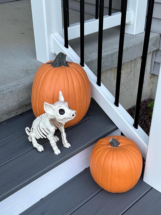 Crazy Bonez Skeleton Pig
