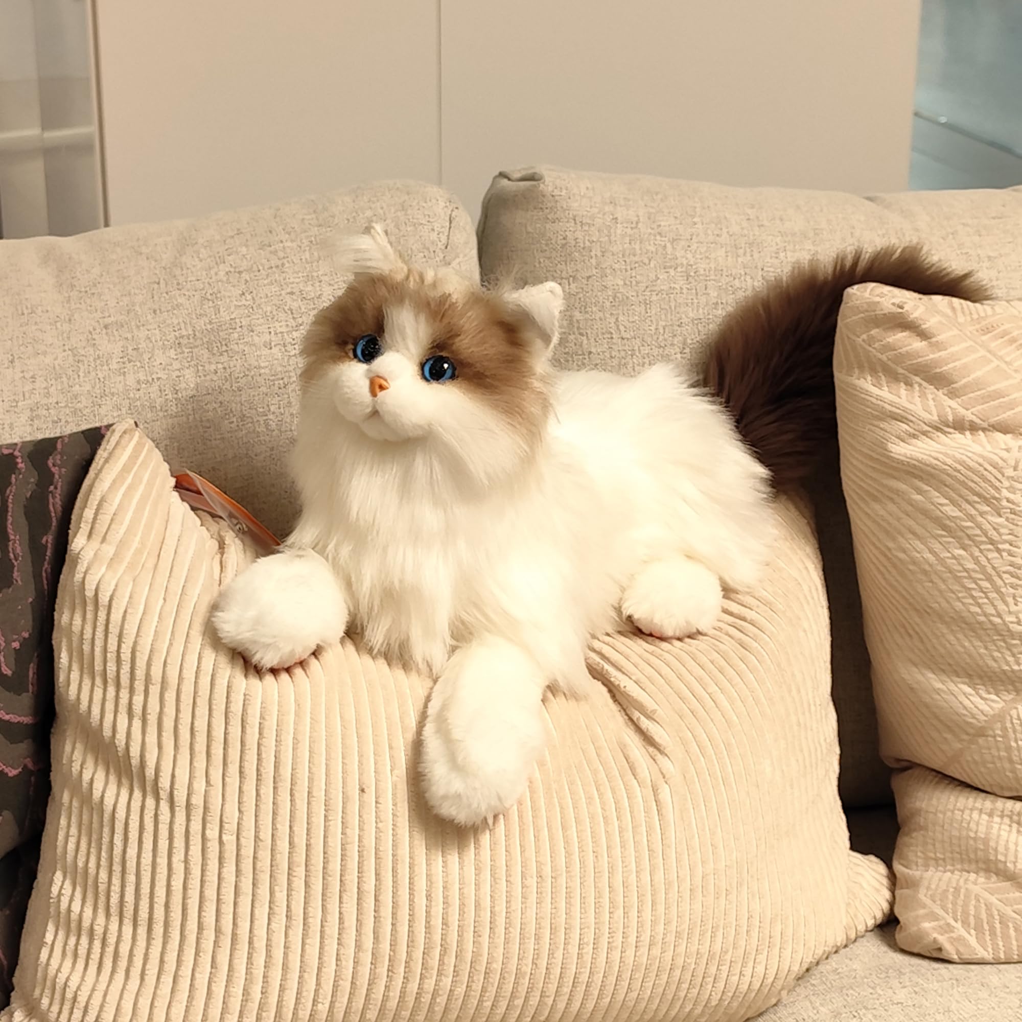 Chongker 猫ぬいぐるみ リアル 本物そっくり e9eoisdx2x.jpg