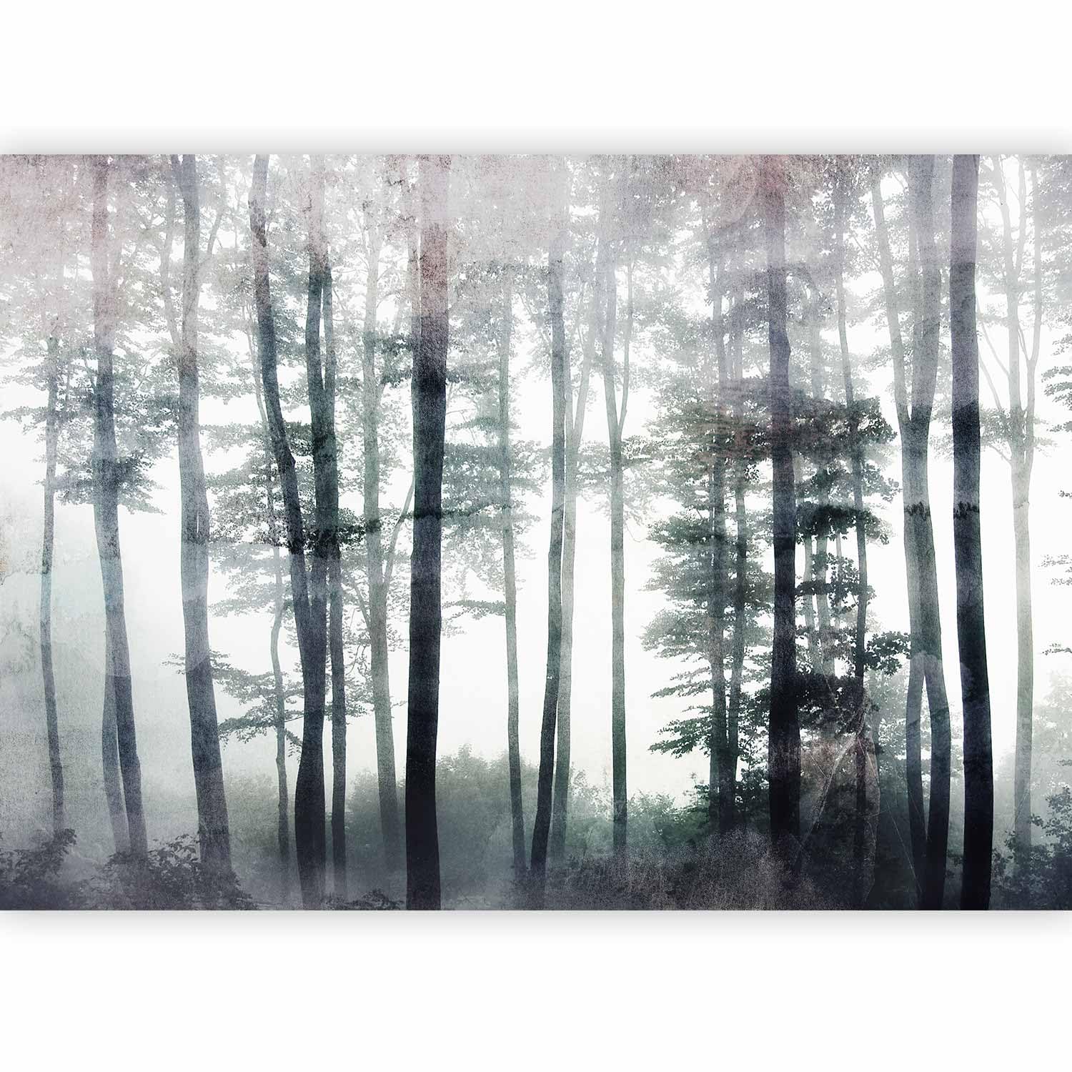 murando Photo Wallpaper Forest Tree 196 x 140 cm / 77" x 55" Peel and Stick โ image 1