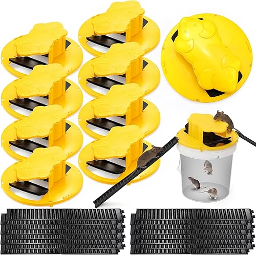 Qualirey Trampa para ratones con tapa de balde de 5 galones, trampas reutilizables para ratones y ratas, trampas para ratones y ratas, trampas para
