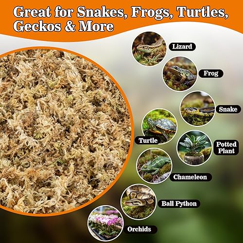 Miniatura 6 de Sukh Sphagnum - Musgo para reptiles – 3.5 onzas de musgo de turba reptil para terrario, lecho de reptiles, sustrato para tanque de reptiles,
