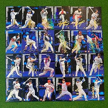 プロ野球チップカード2005 楽天市場】カルビー2005 プロ野球チップス 第二・三弾 スター