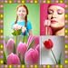 Tulpe-Foto-Collage
