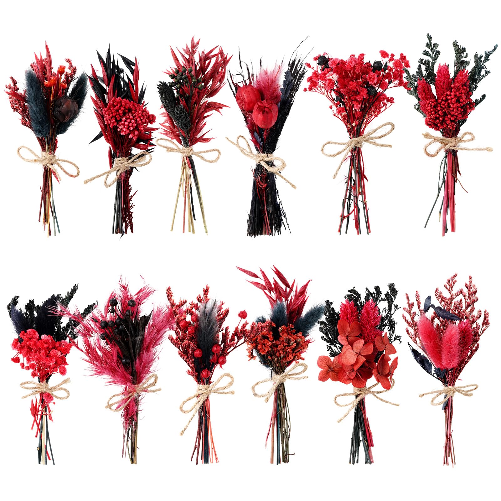 WGXX 10/12/24/36 Pack Mini Dried Flowers