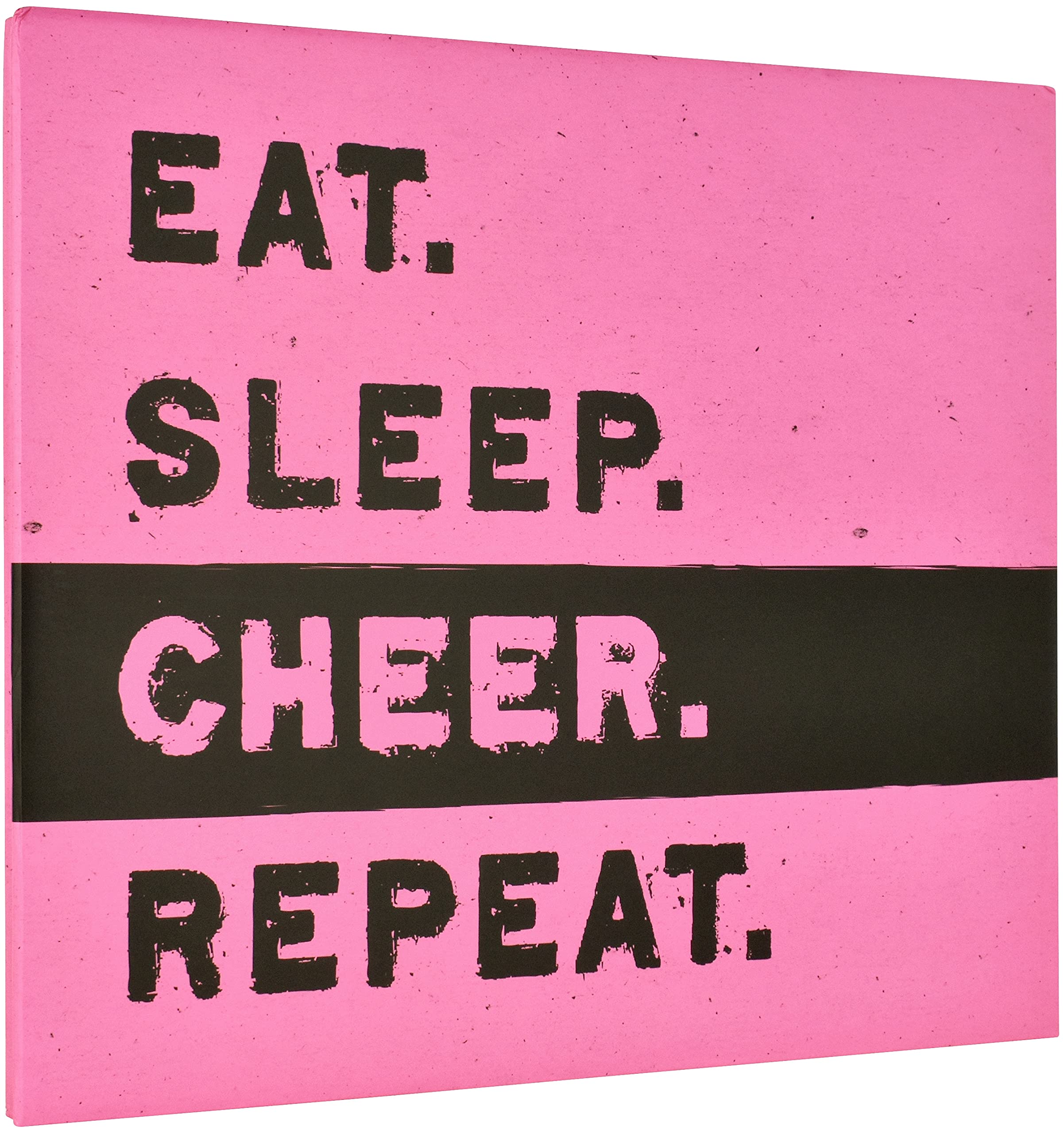 MCS MBI 13.5x12.5 Inch Cheer Sports Scrapbook Album with 12x12 Inch Pages, Pink, Paper, Large