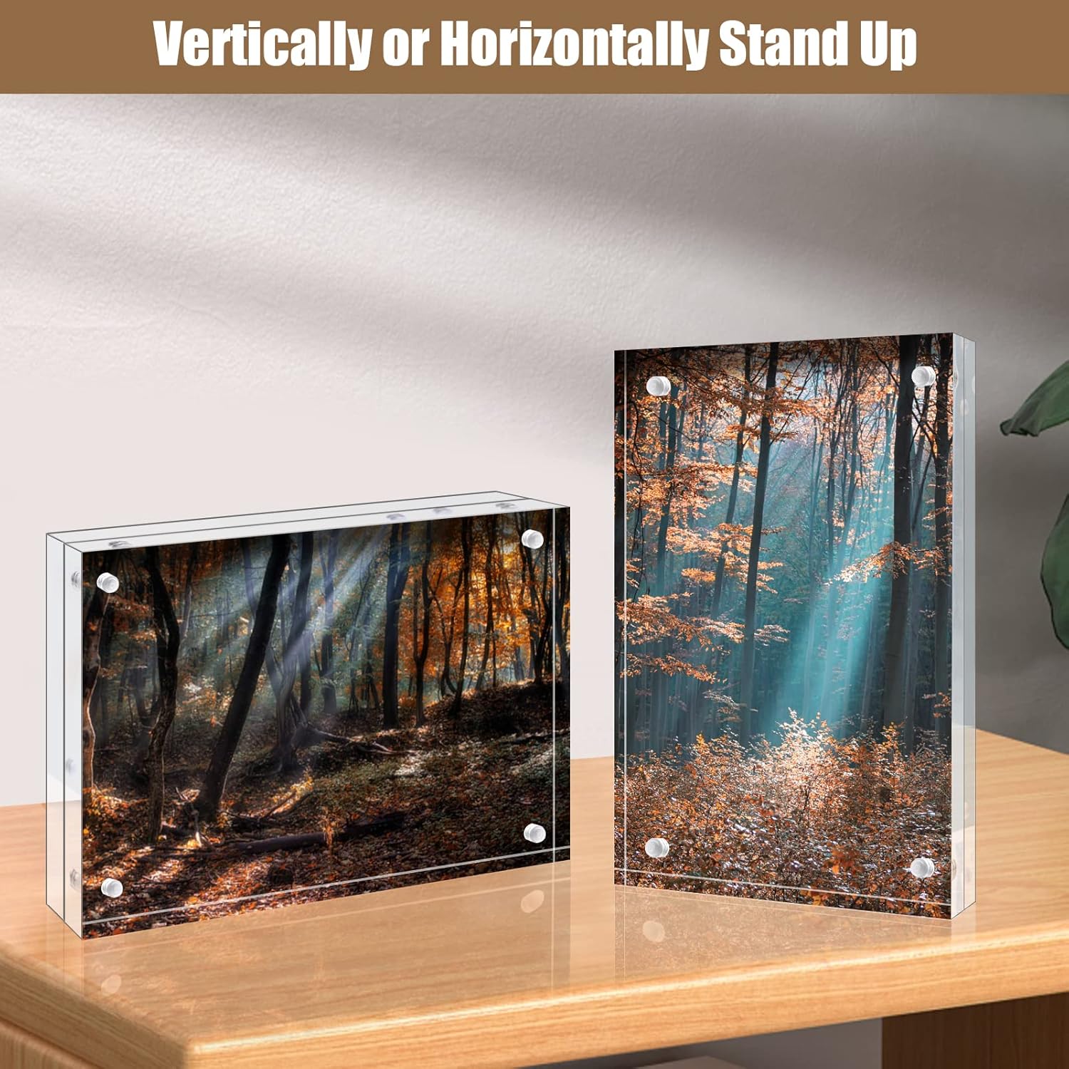 https://m.media-amazon.com/images/I/81py2SnH30L._AC_SL1500_.jpg