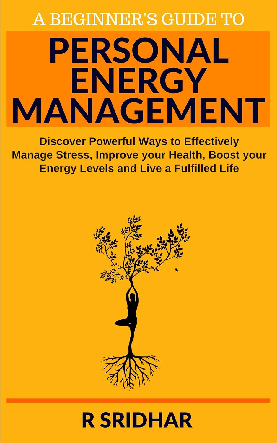 Personal Energy Management Discover Powerful Ways to Effectively
