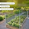 Product Photo 6