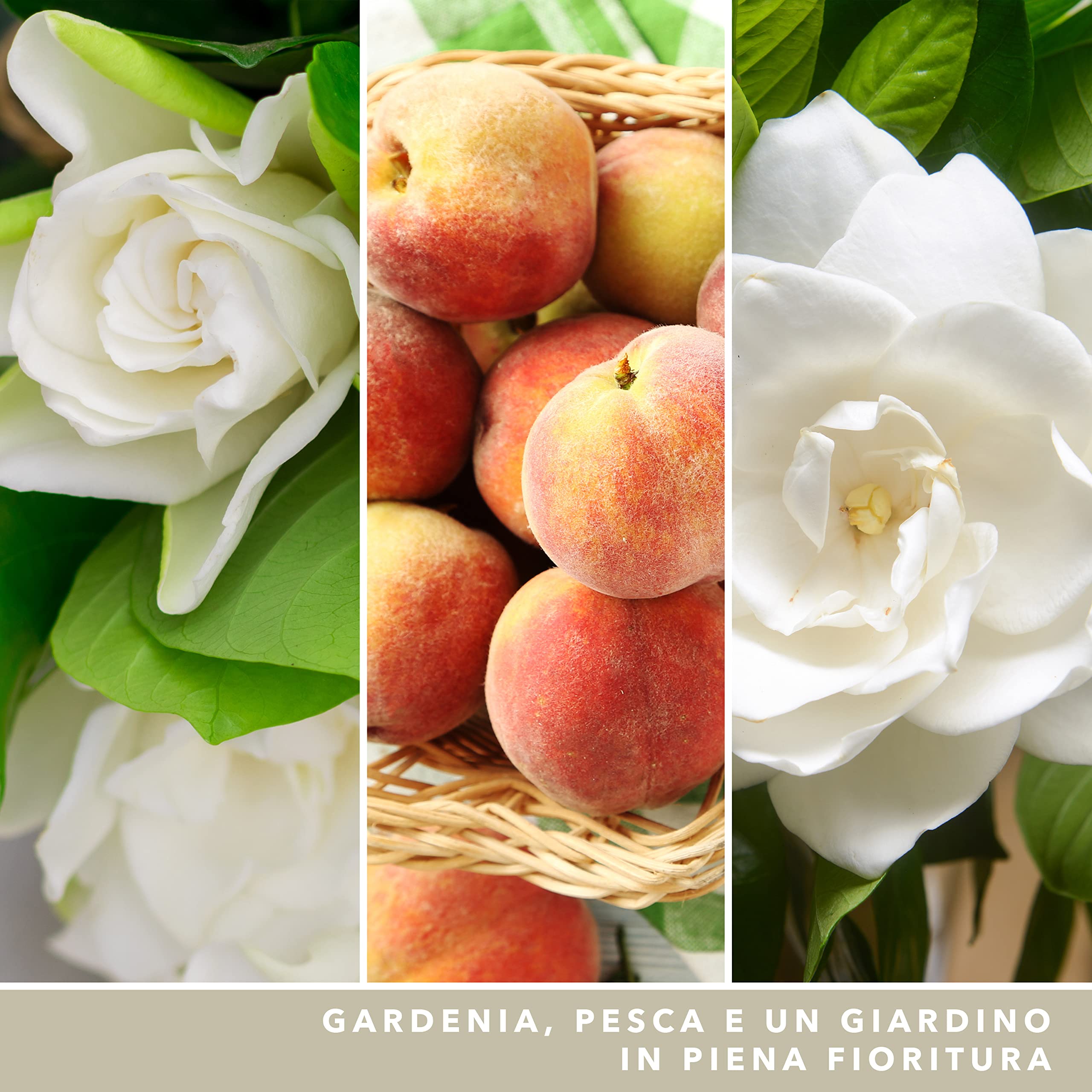 Yankee Candle Signature Candela Profumata, Gardenia Bianca in Giara Grande, Candele di Miscela di Cera di Soia Lunga Durata, Regalo per le Donne