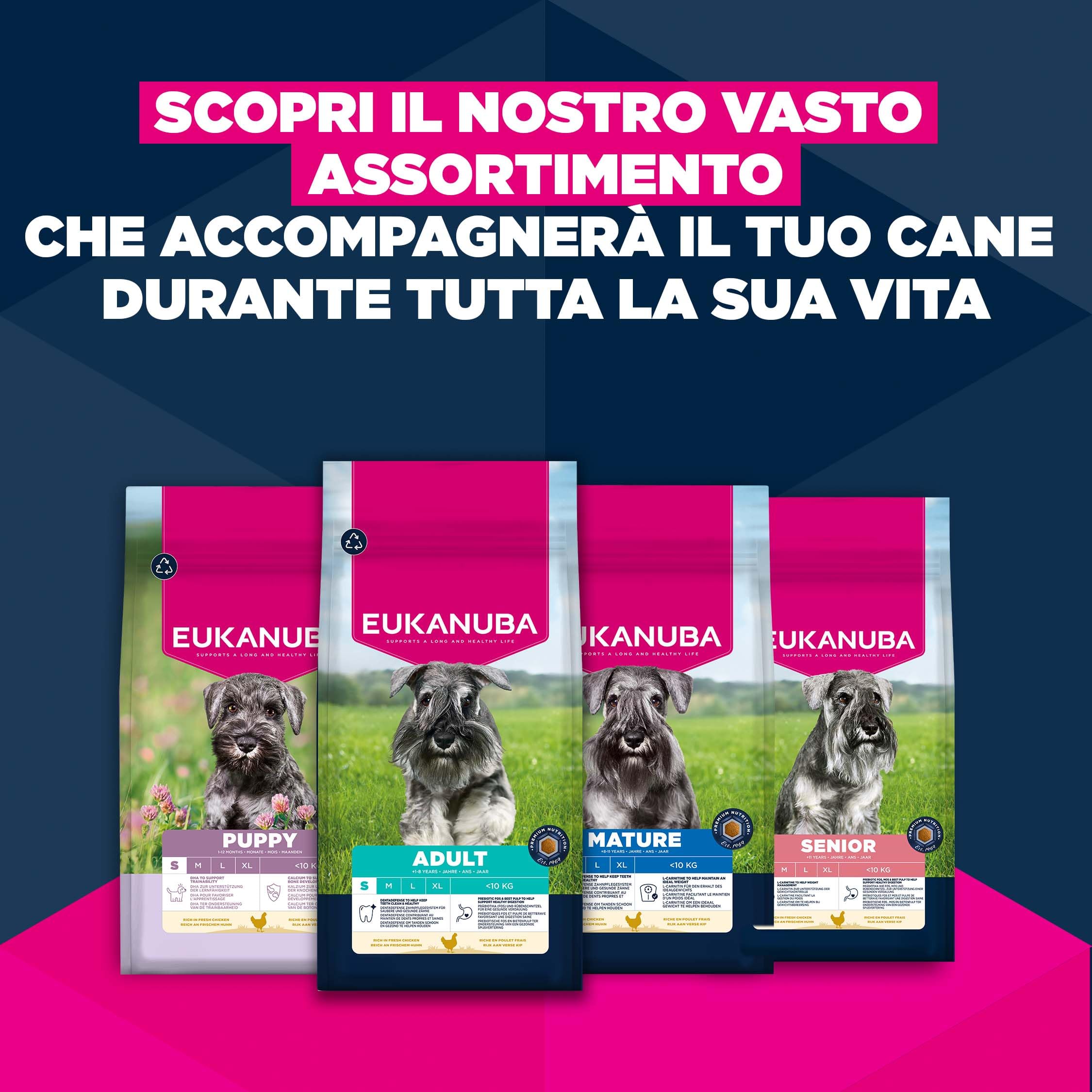 EUKANUBA Cibo secco per Cani con pollo fresco per razze di taglia piccola - Alimento secco premium per Cani adulti, 3 kg