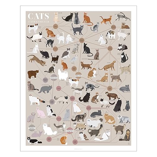 Pop Chart | Cats, Categorized | 16" x 20" Art