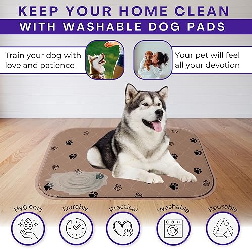 Miniatura 8 de Nativ Products - Paquete de 2 almohadillas lavables para orina para perros, impermeables, superabsorbentes, lavables, reutilizables y