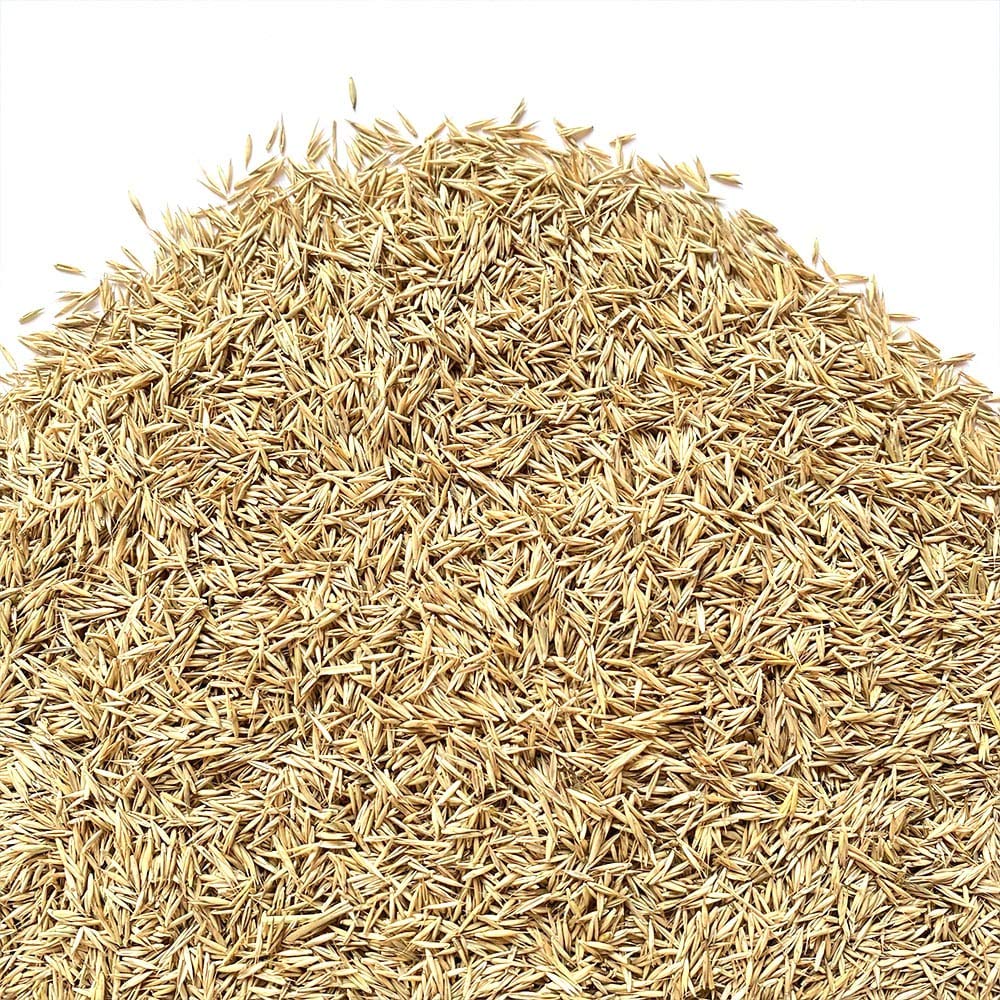 Fallax Rubra Fallax | Alfombra Erboso | El campesino (5 kg)