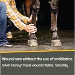 Absorbine Silver Honey - Healthy & pH Balanced Skin Care - Natural Manuka Honey & MicroSilver BG - Soothing Spray 236.6ml