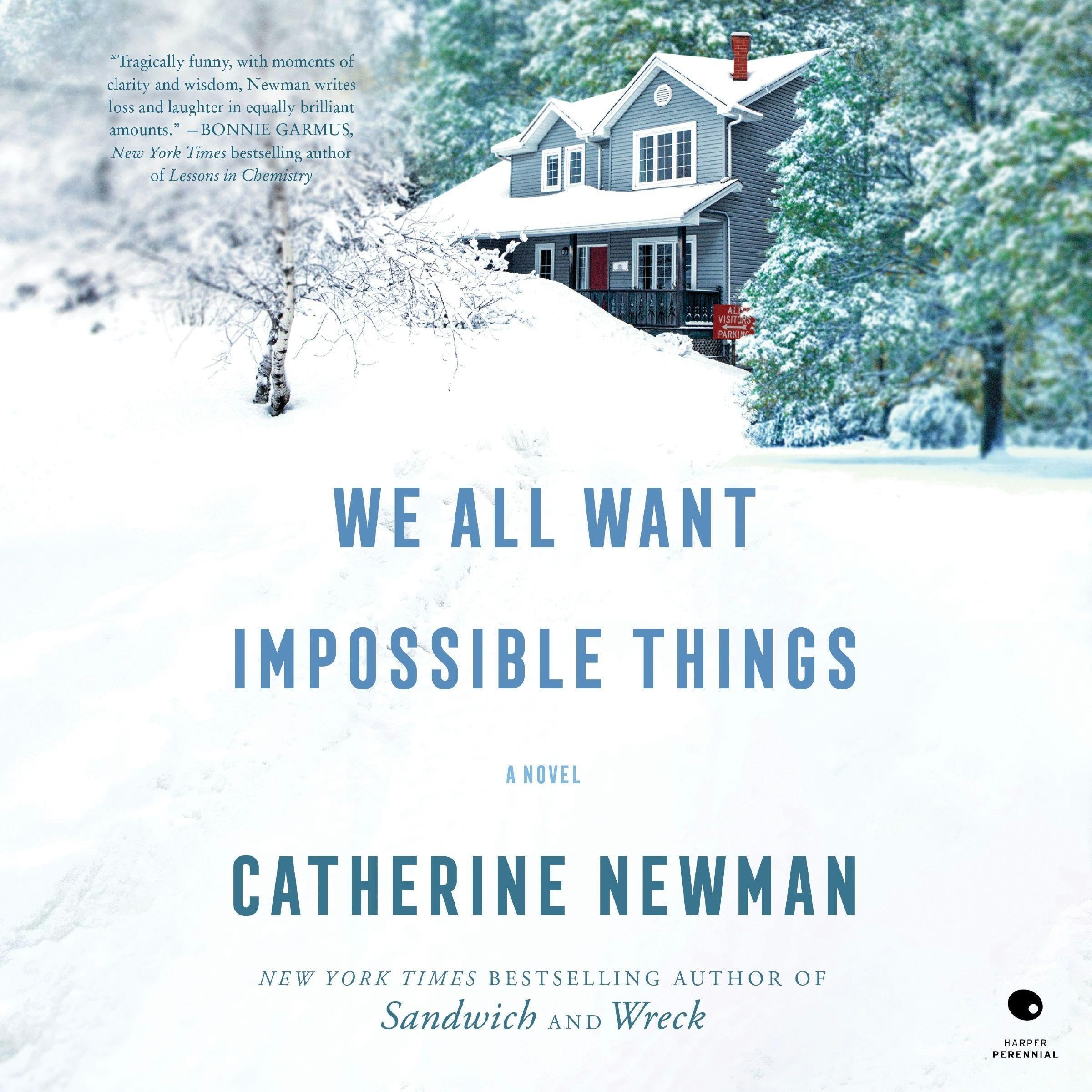 Cover art for We All Want Impossible Things
