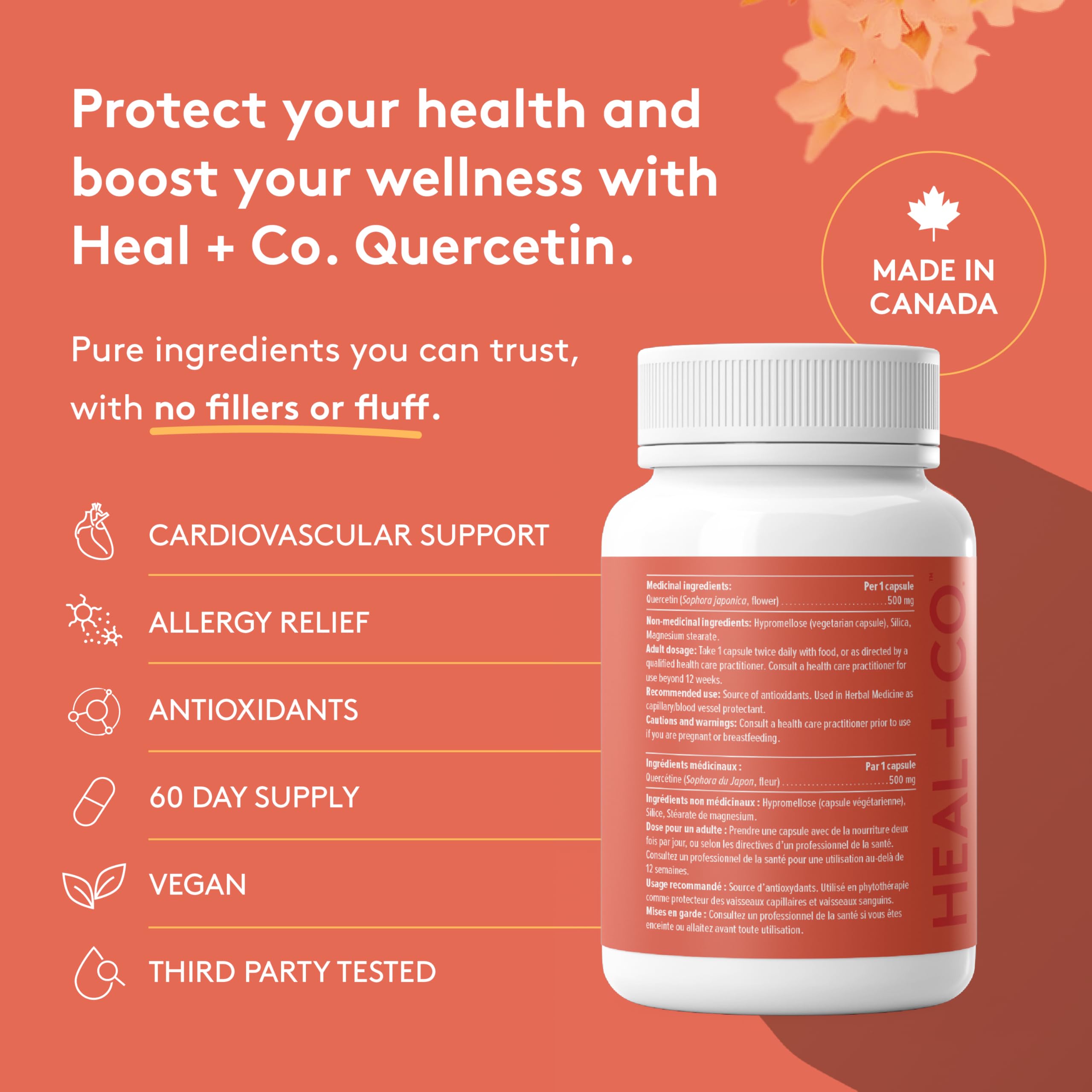 HEAL + CO. Quercétine, Formule Antioxydante Haute Puissance avec 1000 mg par Portion, Soutient l'Immunité Quotidienne, la Protection Cellulaire & la Réponse Inflammatoire – 120 Gélules Vegan