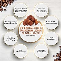 Vista 3 de 30's Nugano Ganoderma Black Coffee Gourmet Reishi Mushroom Cafe Arábica Robusta Café Espresso Cafe