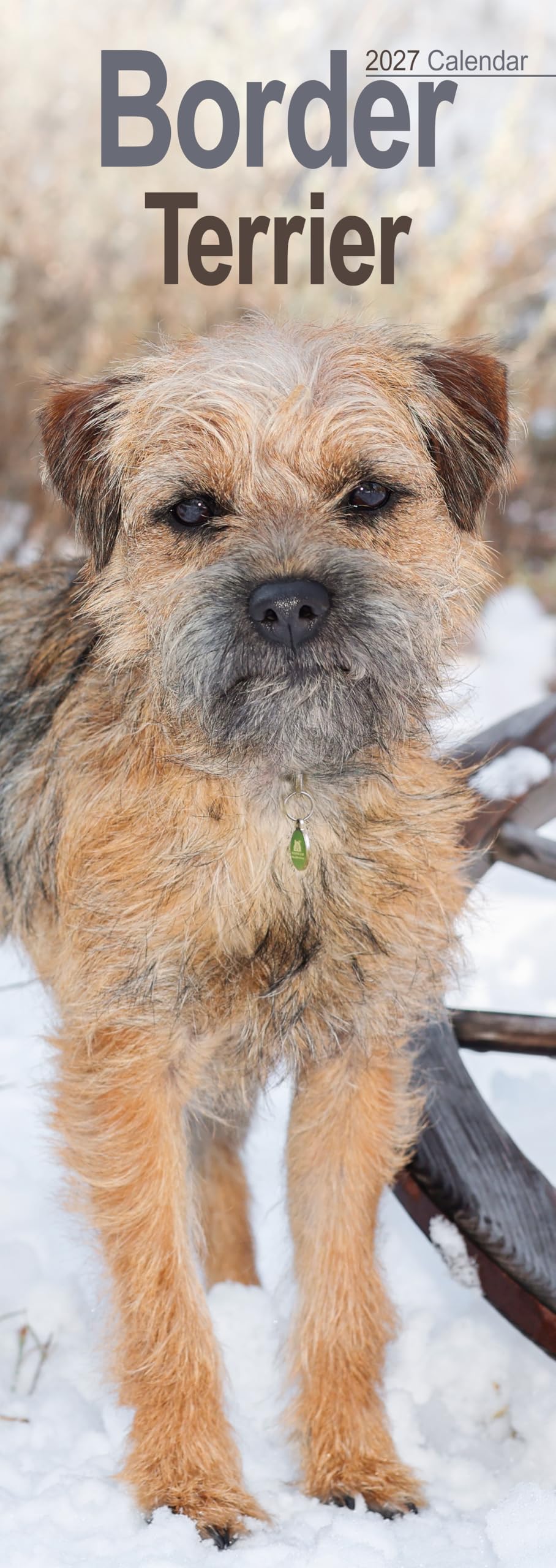 Border Terrier Slim 2027 Calendar | Slimline Wall Calendar | Dog Breed Gift | Plastic Free Packaging | by Avonside Publishing