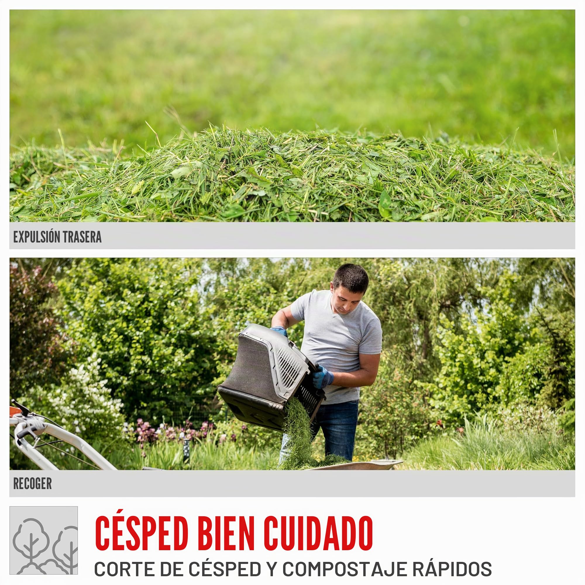 Güde Cortacésped Eco Wheeler 390 1,6 R (Motor de Gasolina de 4 Tiempos 1,6/2 (kW/PS), Ancho de Corte 390 mm, Dispositivo de Pesca de 35 L, Ajuste de Altura de Corte 30 – 66 mm, siega, recolección,