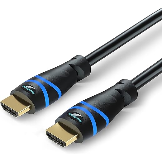 BlueRigger 8K HDMI Cable 10FT