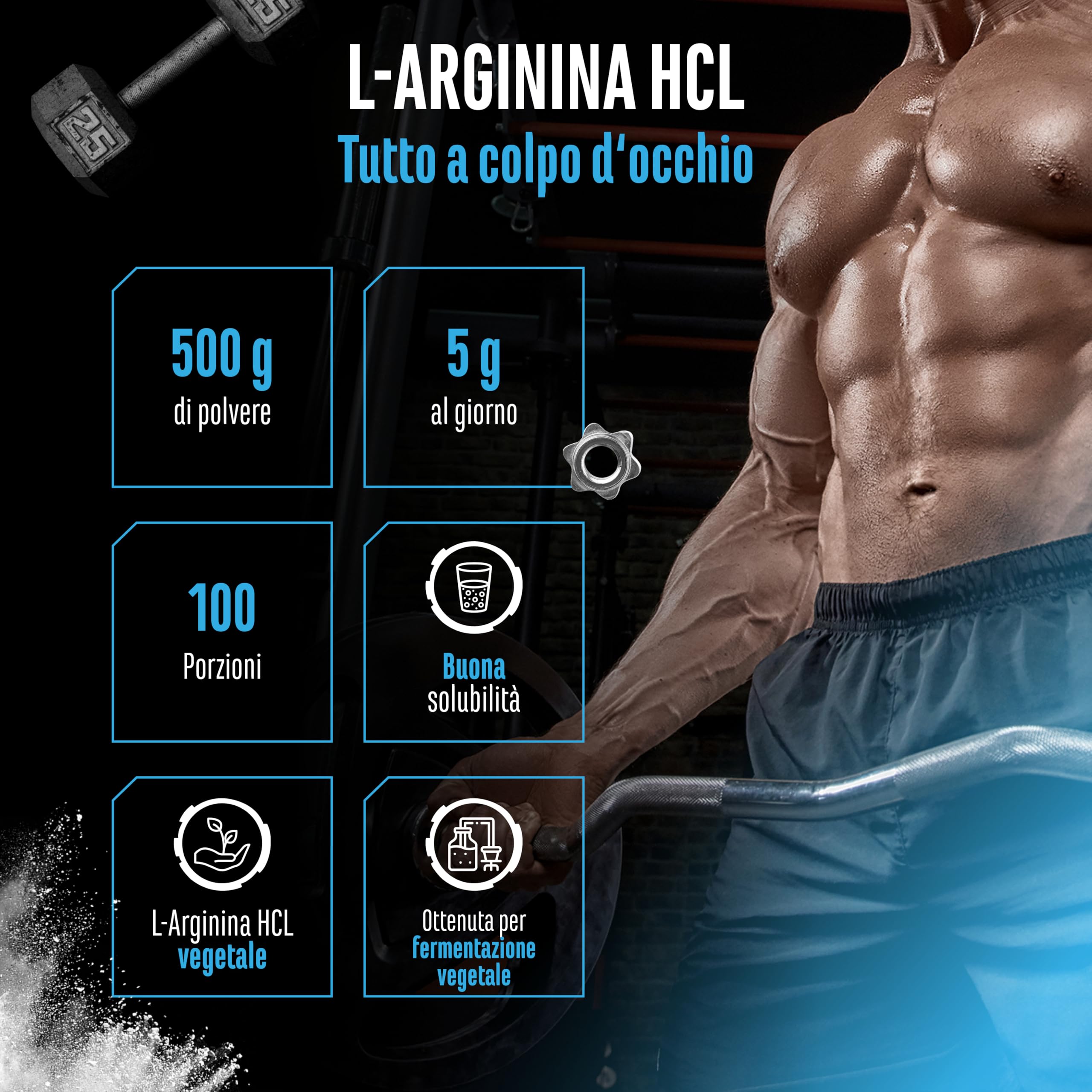 L-Arginina HCL - 500 g in Polvere - L-Arginina Cloridrato - Premium: Aminoacidi Vegetali - Solubilità Ottimale - Polvere Pura Senza Additivi - Vegano