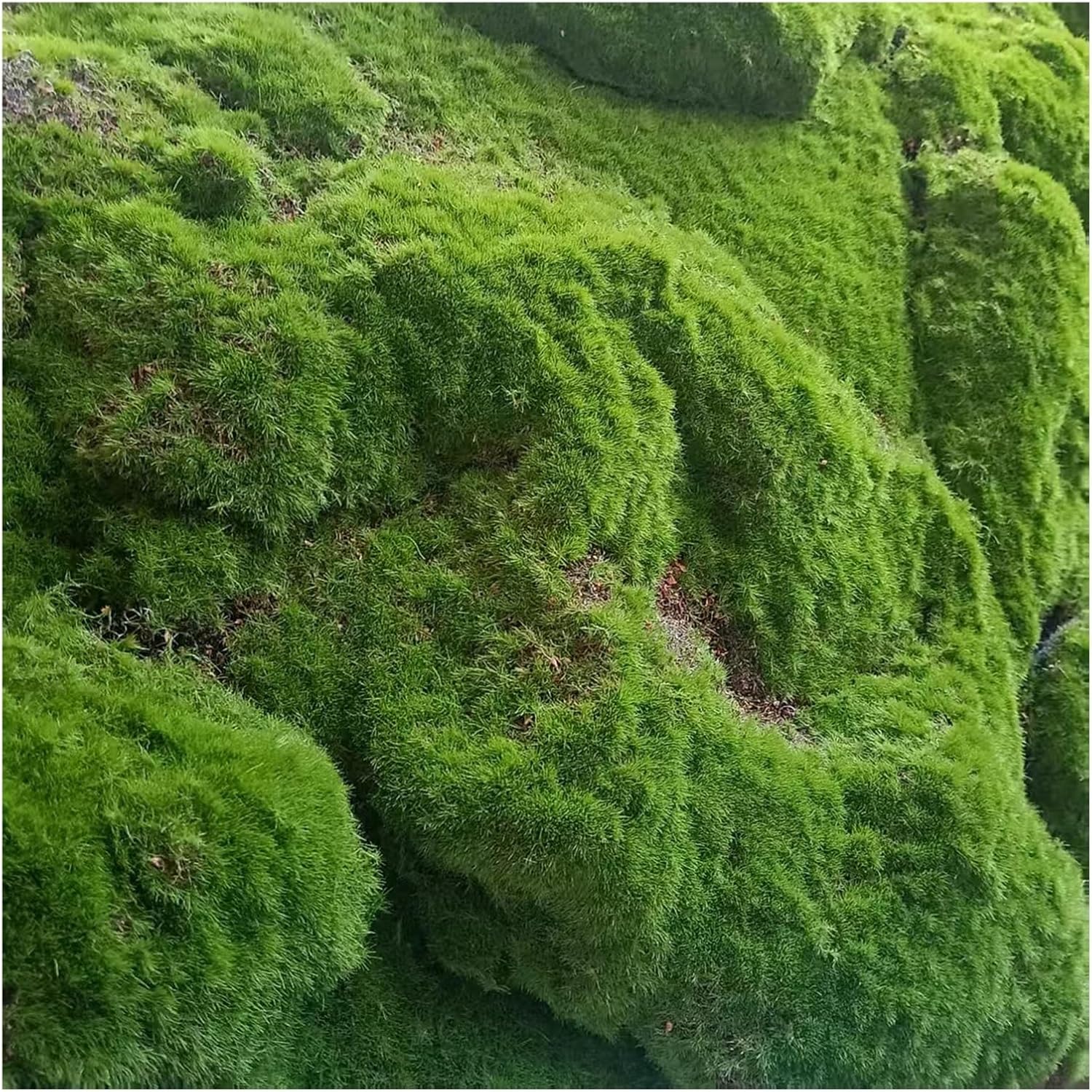 Fake Green Moss for Crafts Ecorative Artificial Decorative Artificial Indoor DIY Decorating Accessories Outdoor Plants Indoor Crafts Model Making,